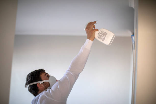 Best Mold Remediation Services  in Augusta, KS