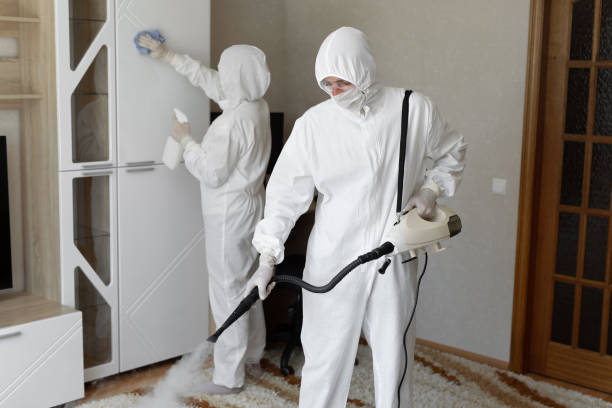 Best Mold Damage Repair  in Augusta, KS