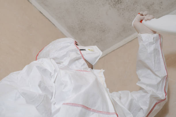 Best Crawl Space Mold Removal  in Augusta, KS