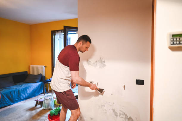 Best Residential Mold Removal  in Augusta, KS