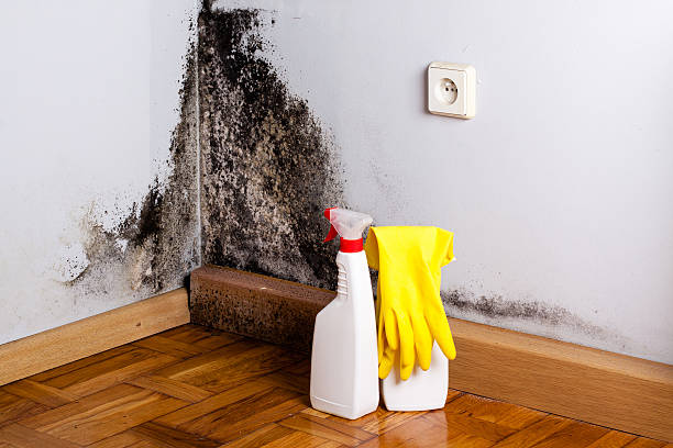 Best Water Damage Restoration  in Augusta, KS